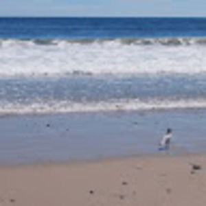 Meet your Posher, Brandi